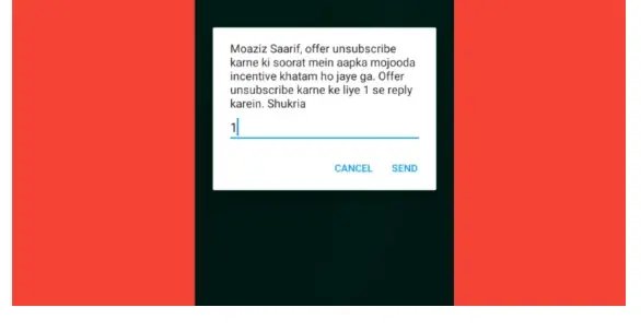 A verification screen will show up—type 1 and hit send
